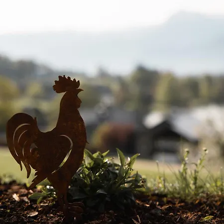 Urlaub Am Dichtlhof